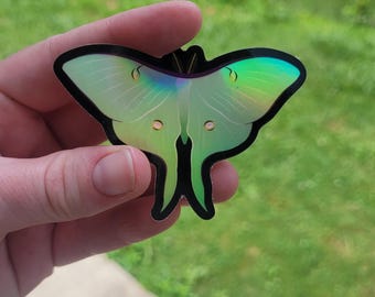 May include: A holographic sticker of a luna moth with a black outline. The moth has green and iridescent wings with a detailed design. The sticker is held against a blurred green background.