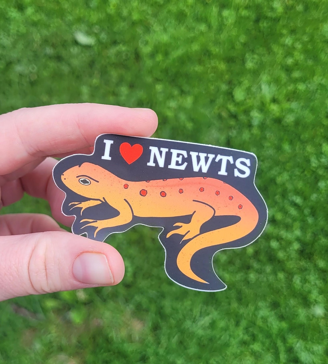 Send Newts Sticker I Love Newts Vinyl Sticker, Weatherproof Decal - Etsy