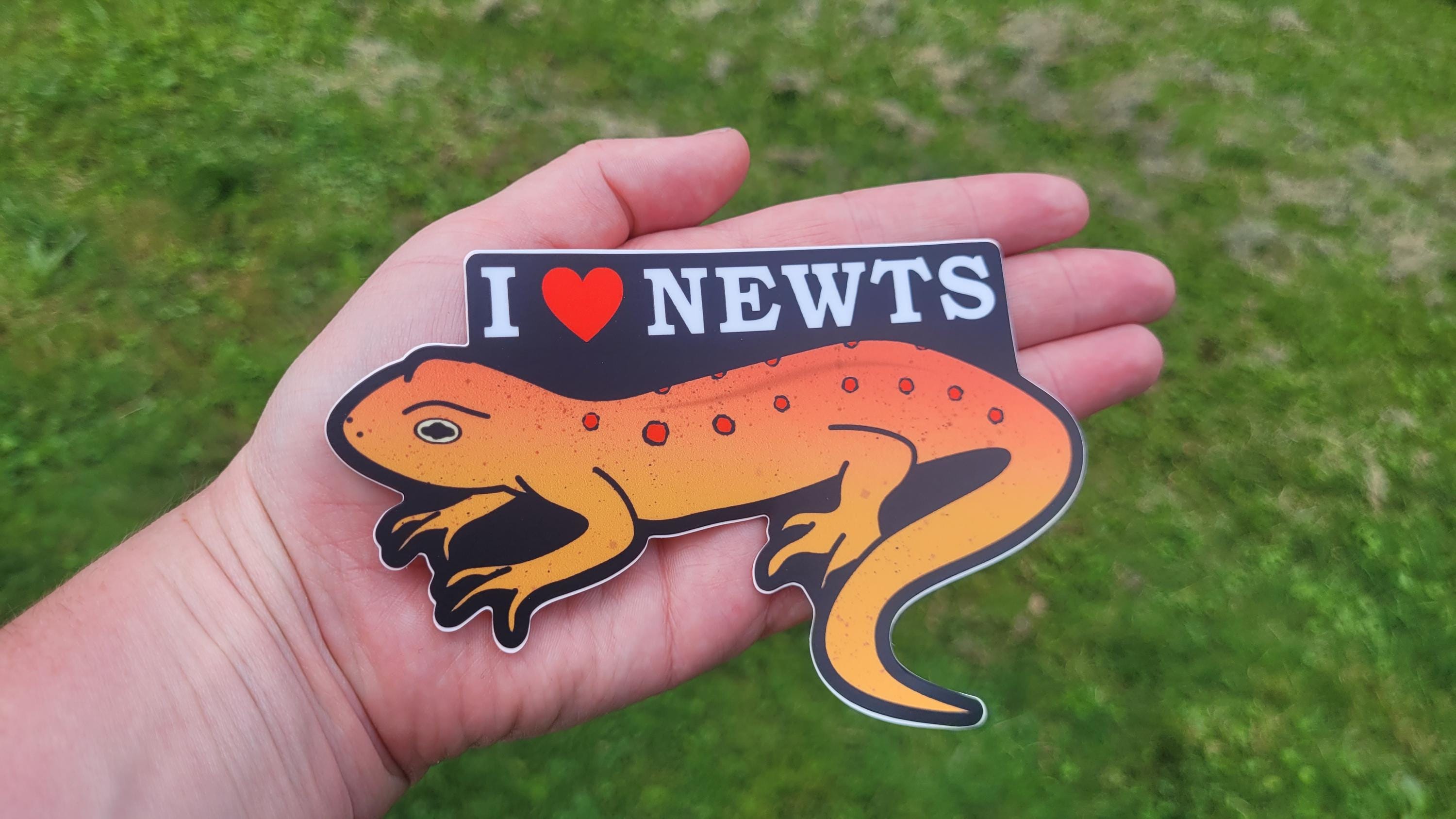 Send Newts Sticker I Love Newts Vinyl Sticker, Weatherproof Decal - Etsy