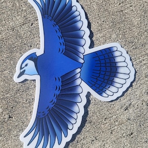 Blue Jay-vinylbumpersticker, sticker waterbottelaar, sticker vogelliefhebber