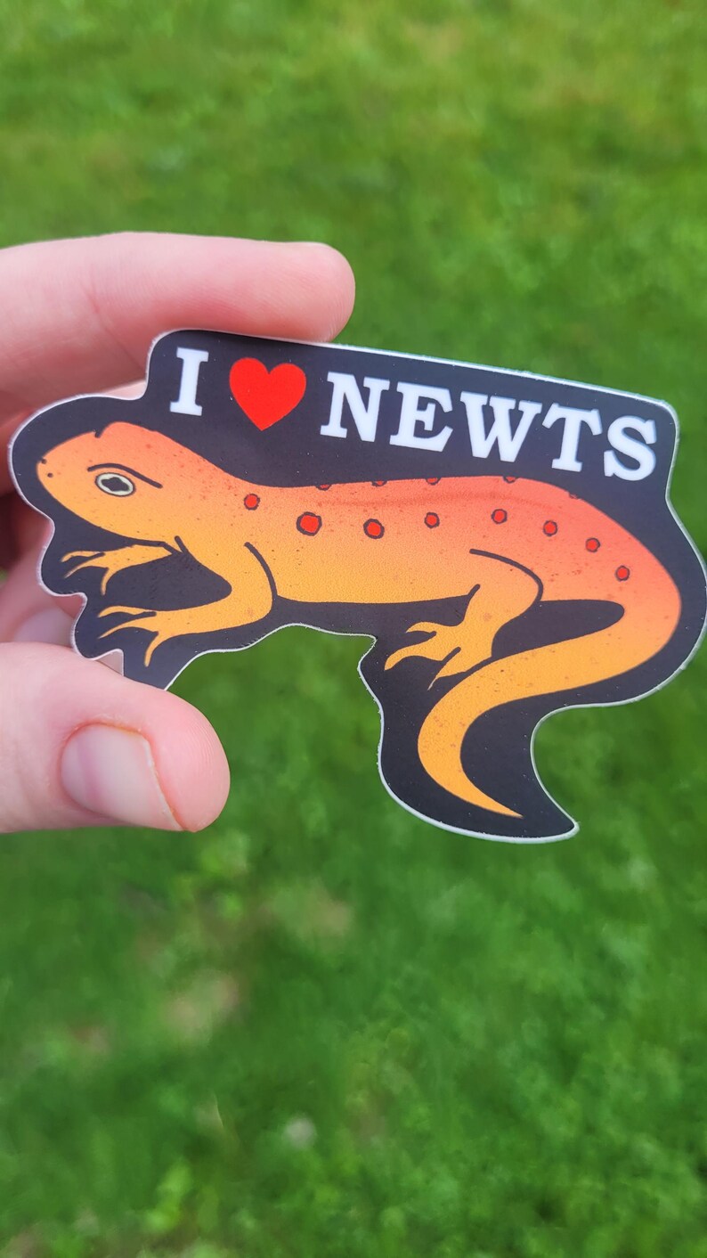 Send Newts Sticker I Love Newts Vinyl Sticker, Weatherproof Decal - Etsy