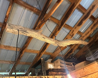 May include: A rustic, natural wood beam light fixture suspended from a wooden ceiling with metal roofing. The beam is attached to the ceiling with black chains and electrical cords. The overall aesthetic is a blend of natural and industrial elements.