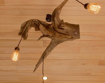 Driftwood Chandelier With Edison Bulbs, Driftwood Light Fixture