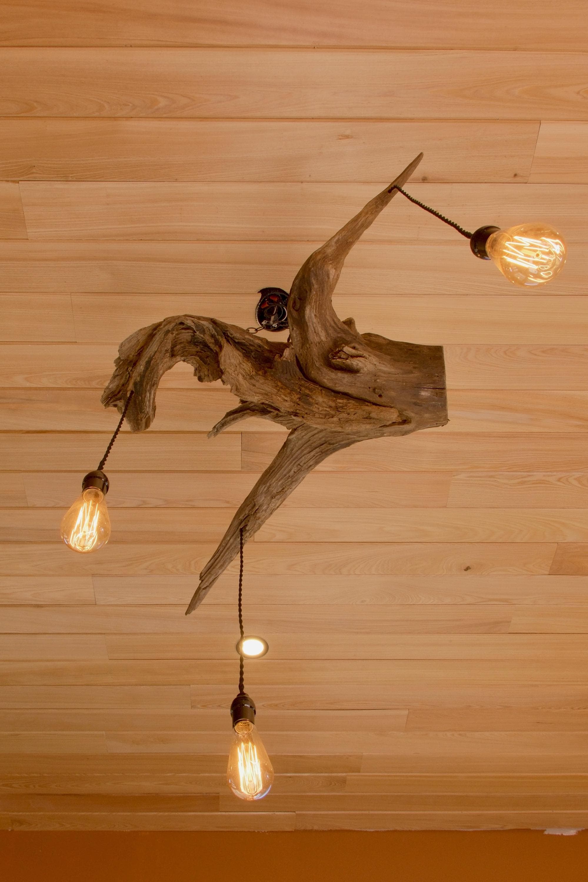Driftwood Chandelier With Edison Bulbs, Driftwood Light Fixture