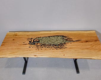 Live Edge Sycamore w/ Lichen Standing Desk, Electric Sit/Stand Desk, Custom Solid Wood Desk, Live Edge Wood Desk, Music Studio Desk,