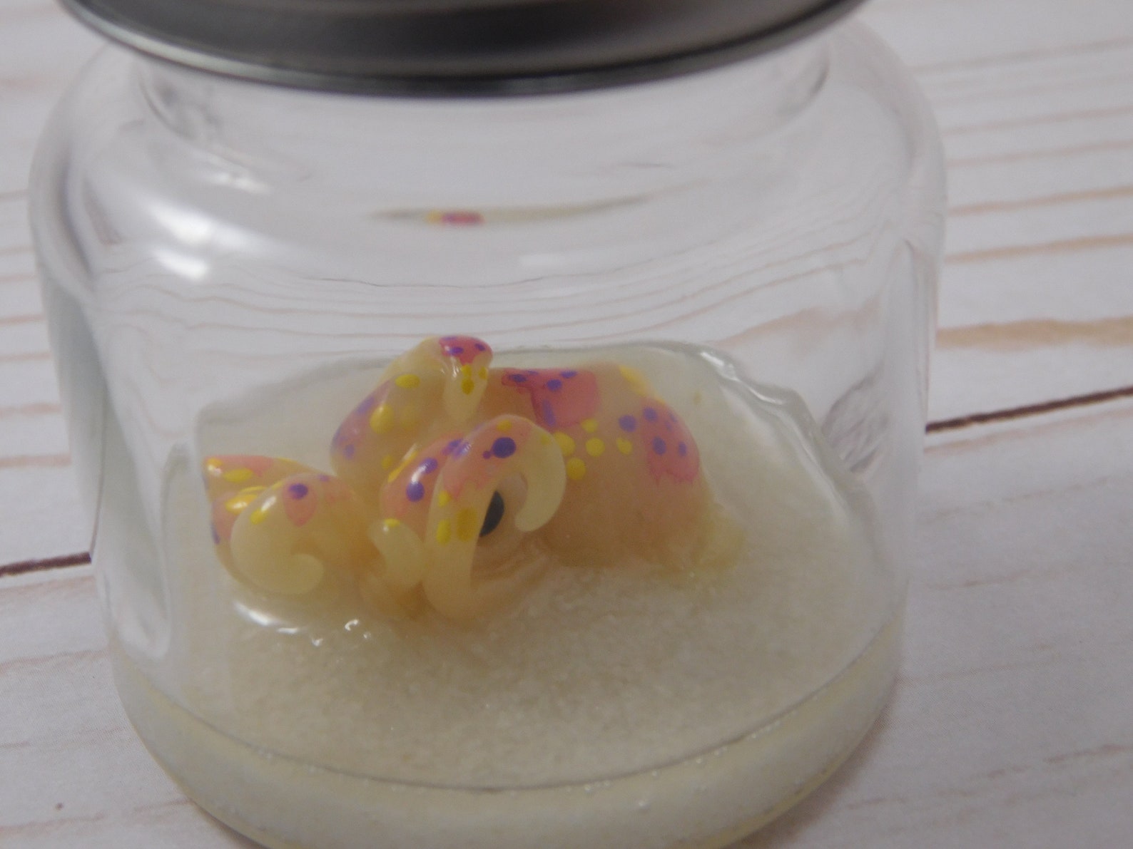 Bobtail Squid Sculpture Forever Pet Squid in a Jar Desk Pet Etsy