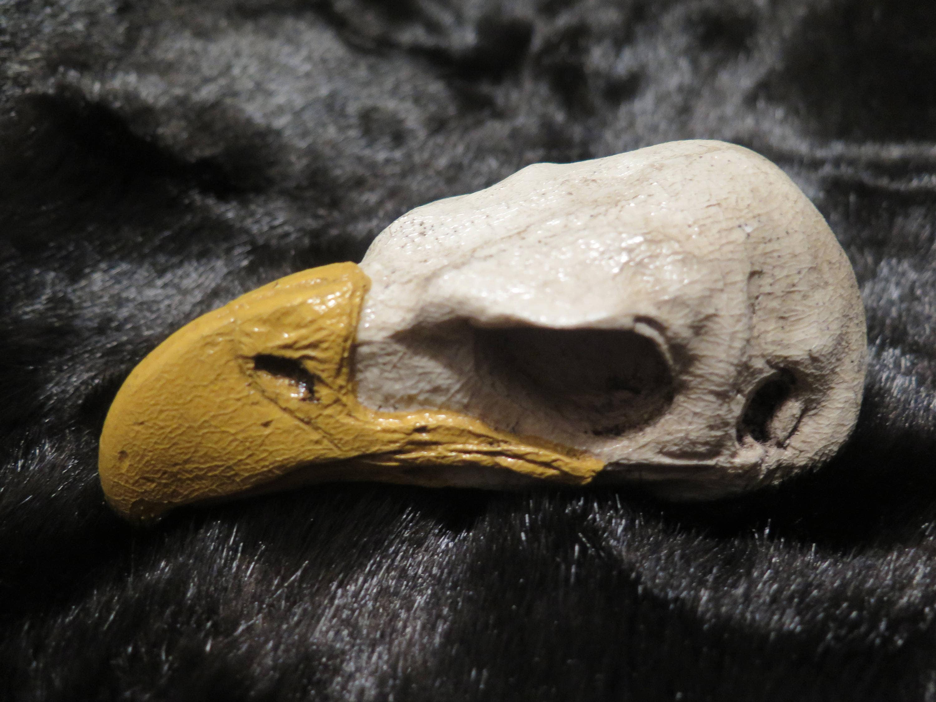 Golden Eagle Skull Eagle Skull one with a Open Mouth and one with a