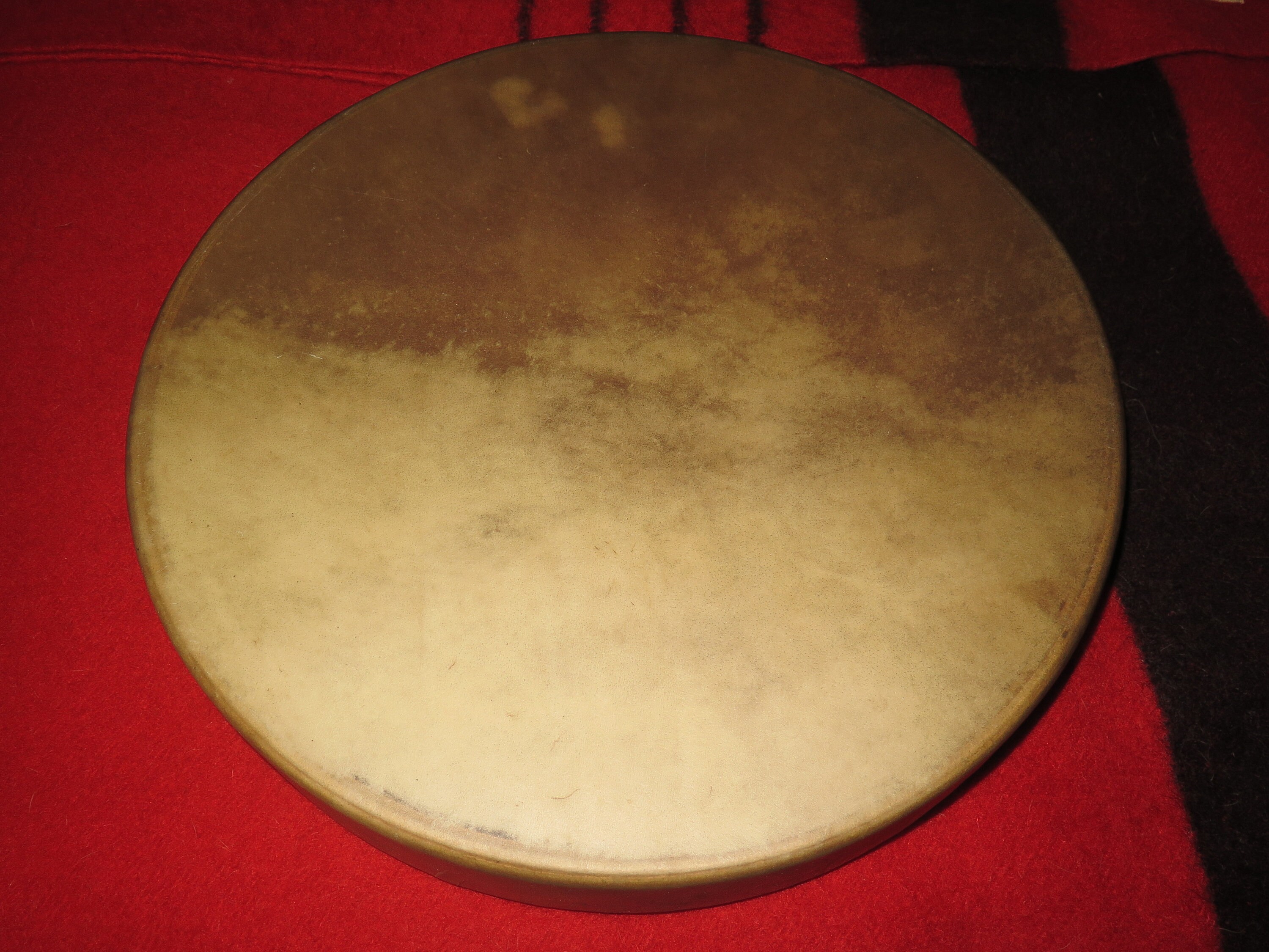 SALE- Native American 18" or 15" Buffalo or 18" or 15&…