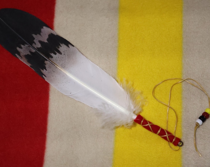 Native American crafted hand-painted Golden eagle feather 4 directions wall hanging/smudge decor