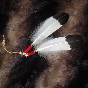 May include: Two white and black feathers with red and white accents tied together with a leather cord.
