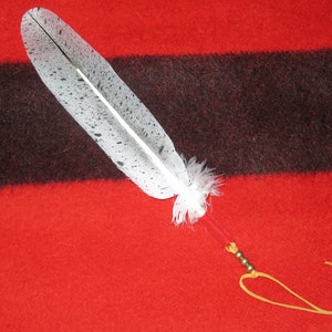 May include: A white feather with black spots, tied with a red cord and a gold leather loop. The feather is on a red and black striped background.