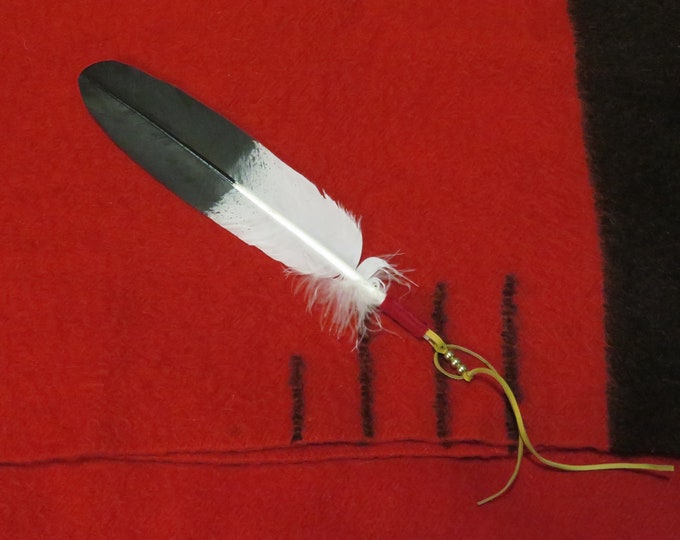 Native American Painted feather ties Golden Eagle Feathers are wrapped with leather and Brass Beads