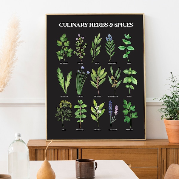 Herbs Wall Art Etsy
