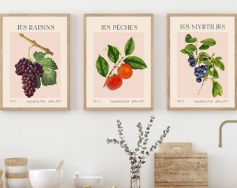 Kitchen Art Prints - Fruit Market Prints - Kitchen Fruit Prints - Kitchen Posters - French Kitchen Decor - Vintage Kitchen Art