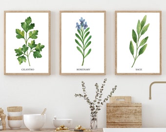 Kitchen Herb Prints, Watercolour Herbs, Herb Wall Art, Kitchen Art, Botanical Kitchen Art, Herbs Set, Kitchen Wall Art