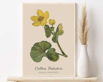 Vintage Flower Print, Marigold Print, Vintage Botanical Art, Botanical Wall Art, Vintage Flowers, Yellow Flower Print, Farmhouse Decor