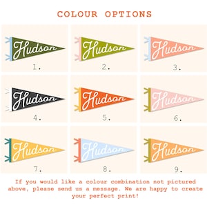 May include: Nine different color options for a pennant flag with the word "Hudson" in a retro font. The pennant is a triangular shape with a pointed end. The colors include green, yellow, orange, pink, blue, and black.