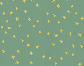 Ruby Star Society Starry Soft Aqua SKU RS4006 24 by Alexia Abegg Sold by the HALF METER