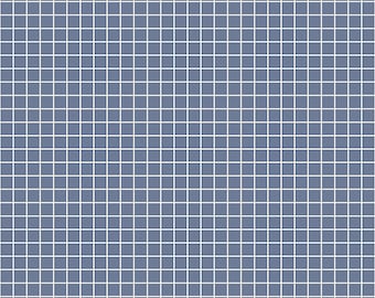 Ruby Star Society Grid Denim SKU RS3005 34 Sold by the HALF METER