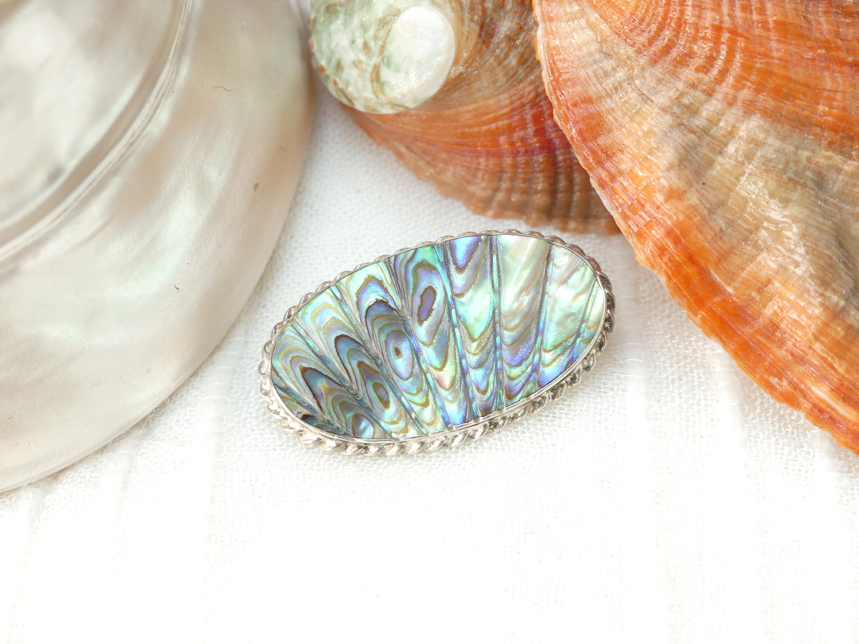 Abalone brooch hot sale
