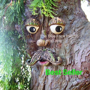 Handmade Stone Tree Face with Moustache - Whimsical Garden Tree Decoration, Unique Outdoor Art, Fun Tree Accessory, Rustic Garden Ornament