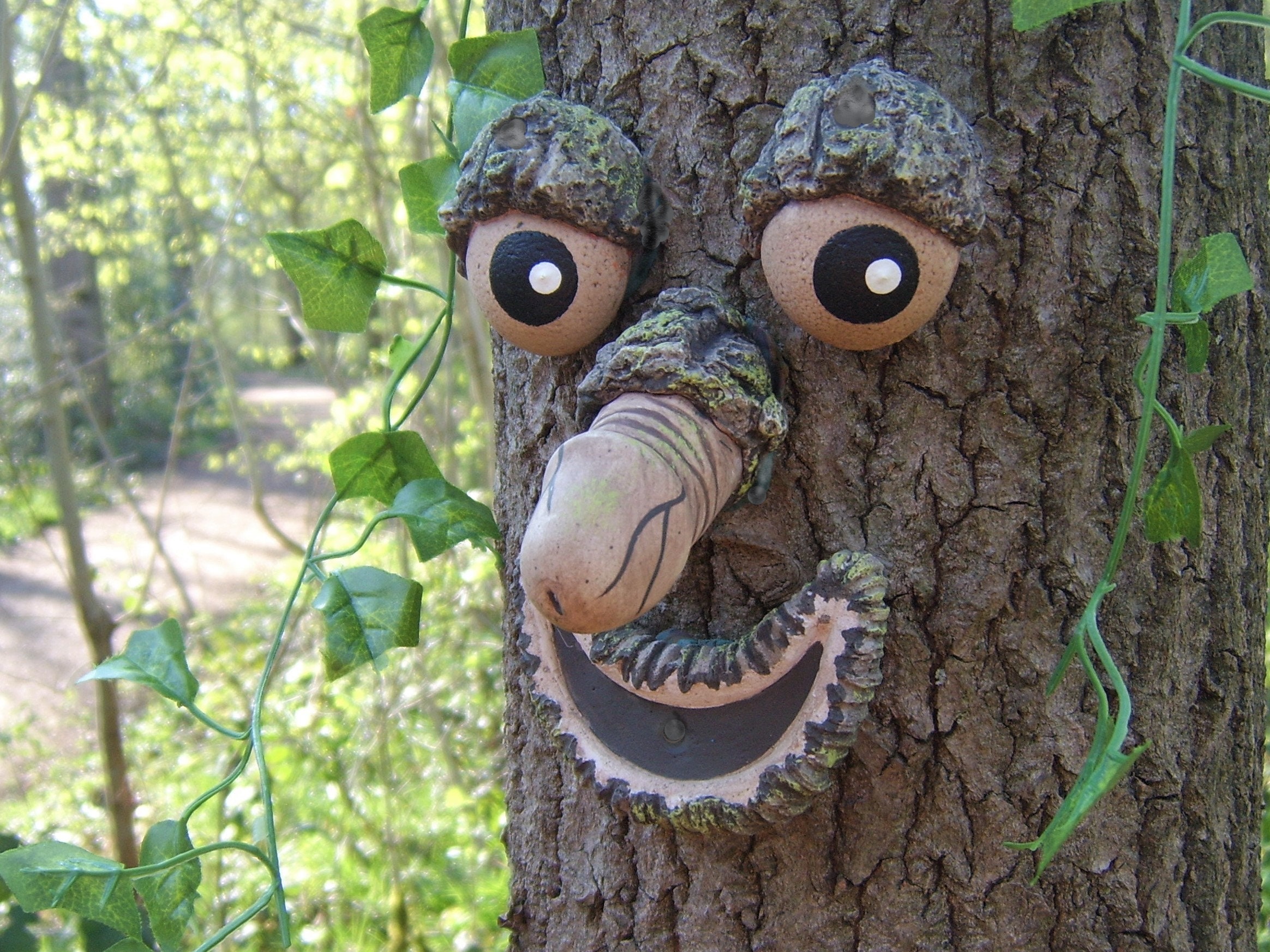 Willy The Rude Tree Face Take A Peek Gifts Garden Etsy