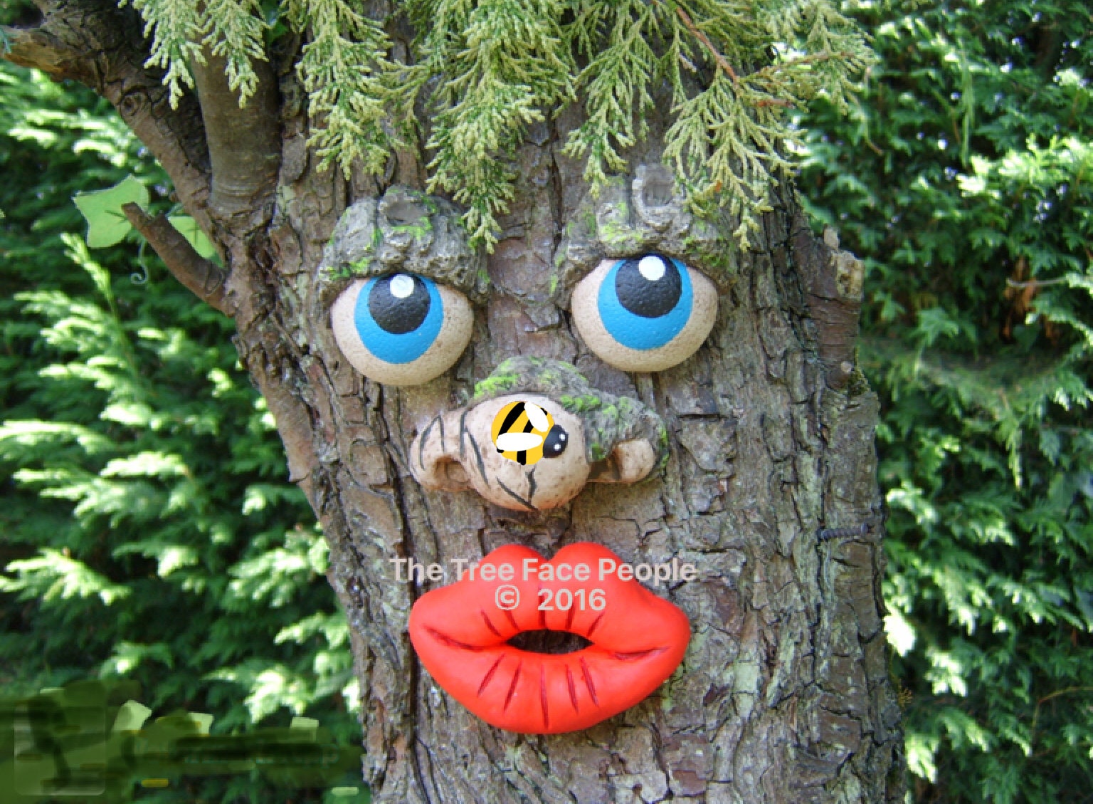 500 Semi Di Timo Strisciante Blu | Copertura Terreno Perenne - Per Giardino E Balcone - Foto 8