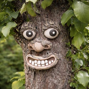 May include: A decorative tree face sculpture attached to a tree trunk, featuring two large round eyes with black pupils, a prominent nose, and a wide mouth with visible white teeth, all crafted with a textured, bark-like finish in earthy tones.