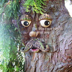 Wise Tree Face with Moustache - Funny Yard Art, Outdoor Tree Decor, Whimsical Garden Sculpture, Unique Gift for Dad or Grandpa