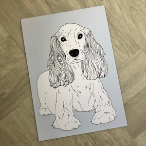 Cocker Spaniel Dog Illustration
