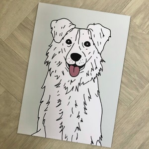 Border Collie Dog Illustration