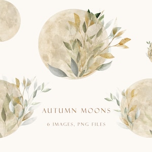 Herbst Monde Clipart, Florale Monde, Mond Clip Art, Aquarell Mond Clipart, Verträumter Mond, Botanische Clipart, 6 Bilder, PNG Dateien.