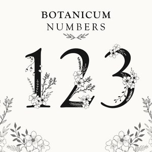 Botanische Zahlen Clipart - 18 PNGs mit transparentem Hintergrund für Hochzeitstischnummern, Einladungen, Journale und Bastelprojekte.