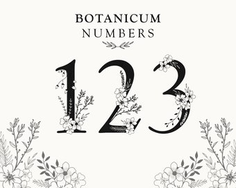 Floral Numbers Clipart: Botanical Line Art for Wedding Table Numbers (18 PNG Files)