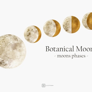 Clipart di fasi lunari ad acquerello: PNG celeste botanico dorato (13 immagini, download digitale)