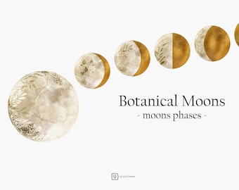 Moon Phases Clipart, Celestial Clipart, Celestial Watercolor, Watercolor Moon, Botanical Clipart, 13 images, PNG files.