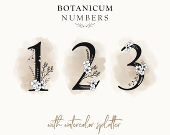 May include: Black numbers 1, 2, and 3 with floral accents and watercolour splatters. The numbers are from the "Botanicum Numbers" collection. The numbers are decorated with white flowers and green leaves.