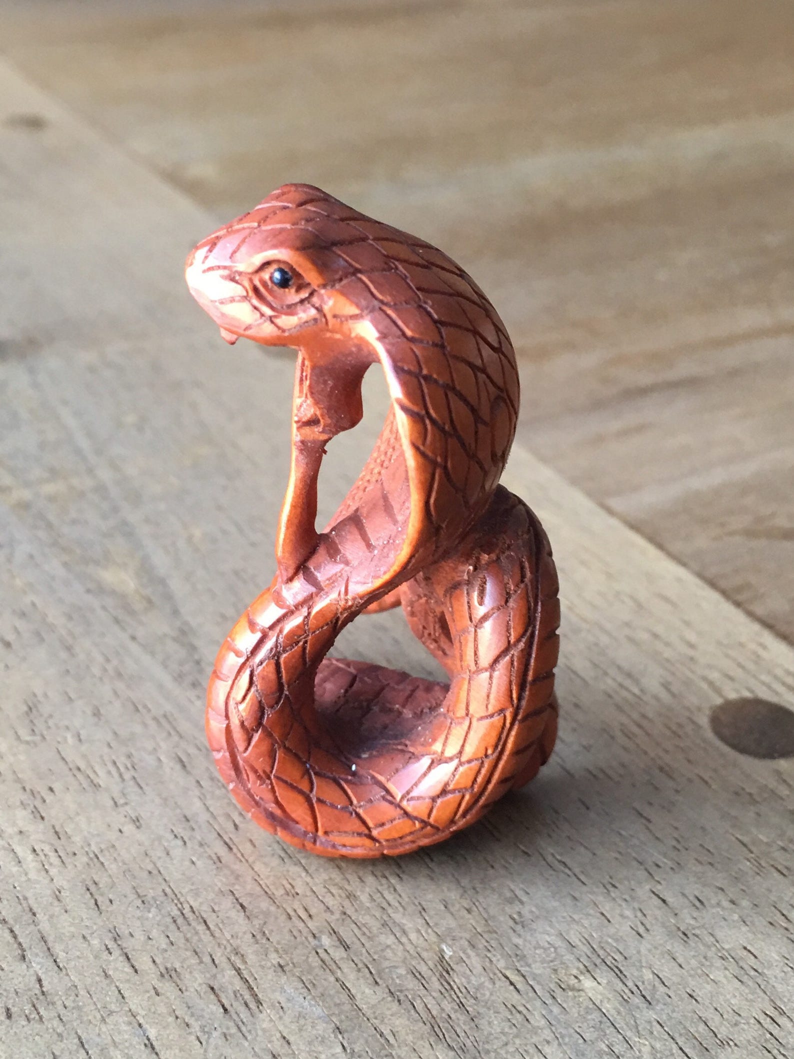 Wood Snake Chinese Zodiac Personality
