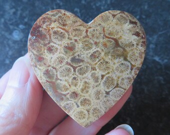 Lovely Patterned Fossilized Coral (33.9 grams / 46 mm) Heart Shape (A6) 'Protect' - FREE UK POSTAGE