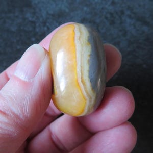 May include: A polished, oval-shaped stone featuring distinct bands of vibrant yellow, creamy white, and muted gray. The surface is smooth and reflective, showcasing natural mineral layers that transition from a bright golden hue to a soft, neutral slate color.
