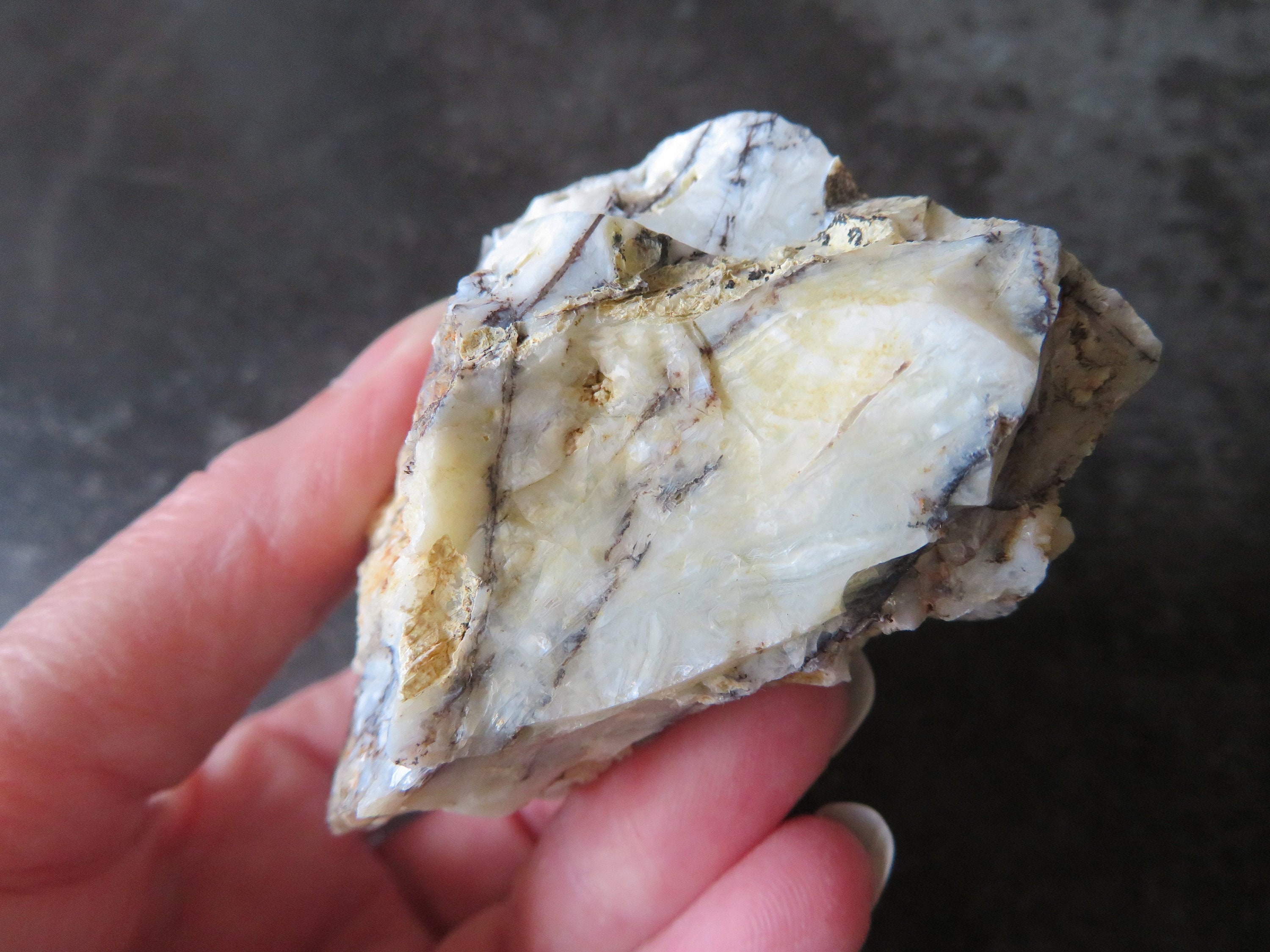 Seltener Mount Shasta Opal 1791 Gramm / 90 mm Natürlicher Etsy