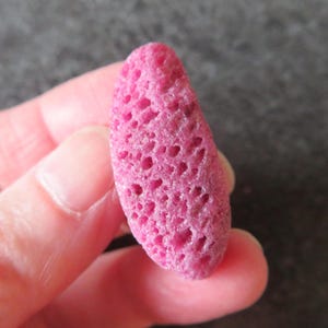 Op de afbeelding: Een roze, poreuze, ovale steen met een getextureerd oppervlak.