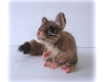 Sugar glider | Etsy