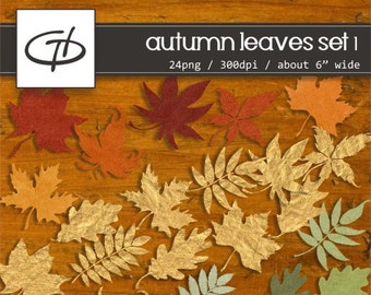Autumn Leaf clip art set 1: suede a and golden paper,digital download, high quality printable clip art set, craft projects, card making