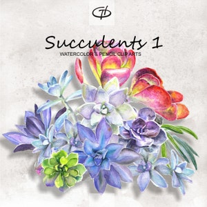 May include: Watercolor and pencil clip art illustration of a bouquet of succulents in shades of green, purple, and pink. The illustration is titled "Succulents 1".