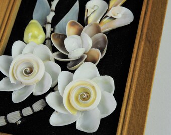 gallerymichel Vintage Shellcraft Art Framed Sea Shell Floral Picture on Black Velvet