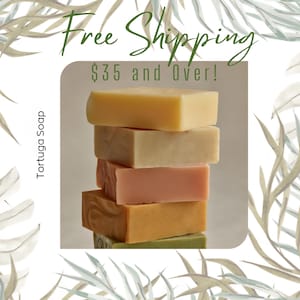 Foaming Hand Soap w/ Pump Dispenser - Choose Your Scent, All Natural Organic Handmade Essential Oil or Fragrance Liquid Castile Wash imagem 7