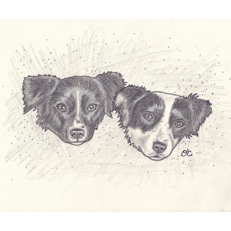 Custom Pet Drawing | Portrait From Photo | Hand Drawn Commission - Etsy