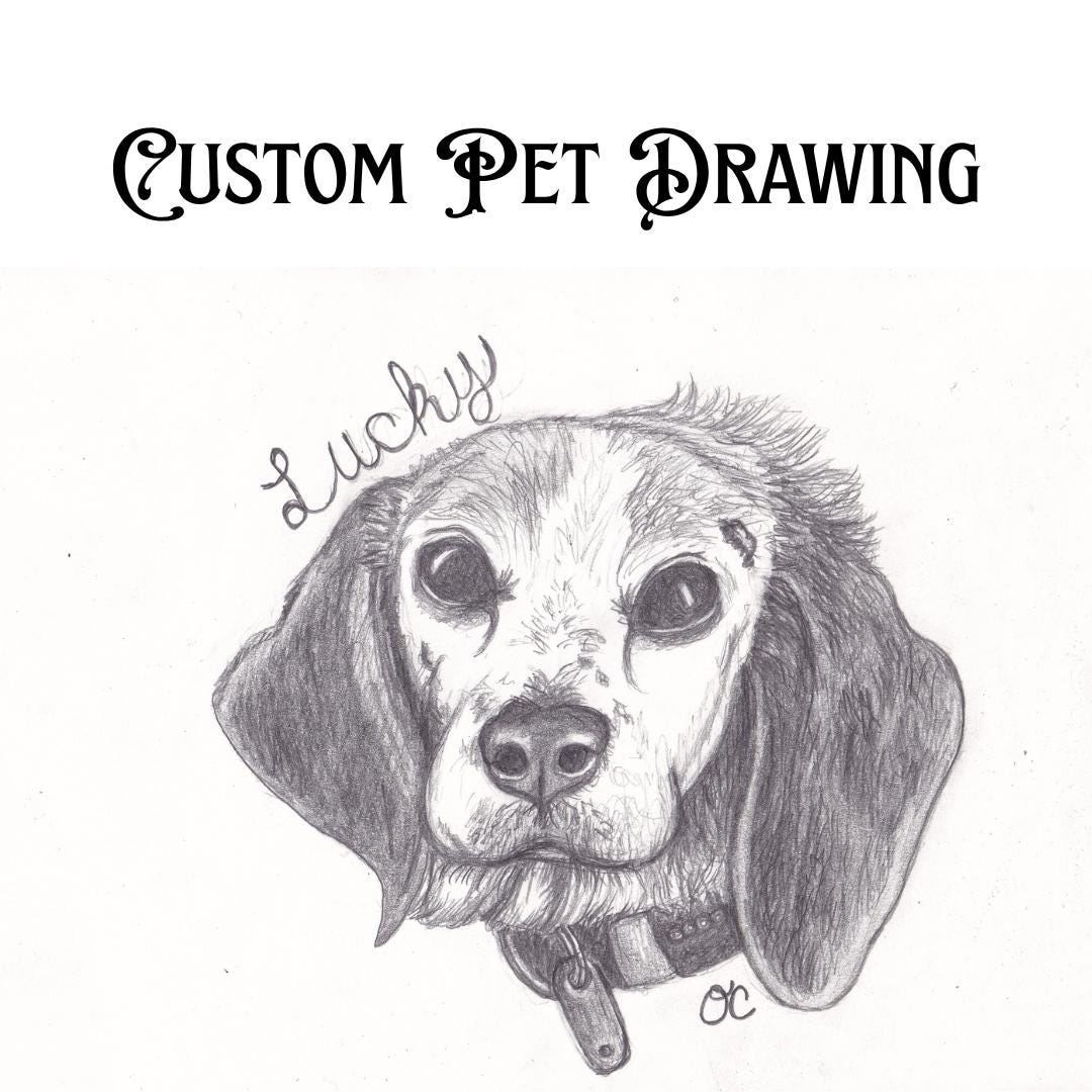 Custom Pet Drawing | Portrait From Photo | Hand Drawn Commission - Etsy
