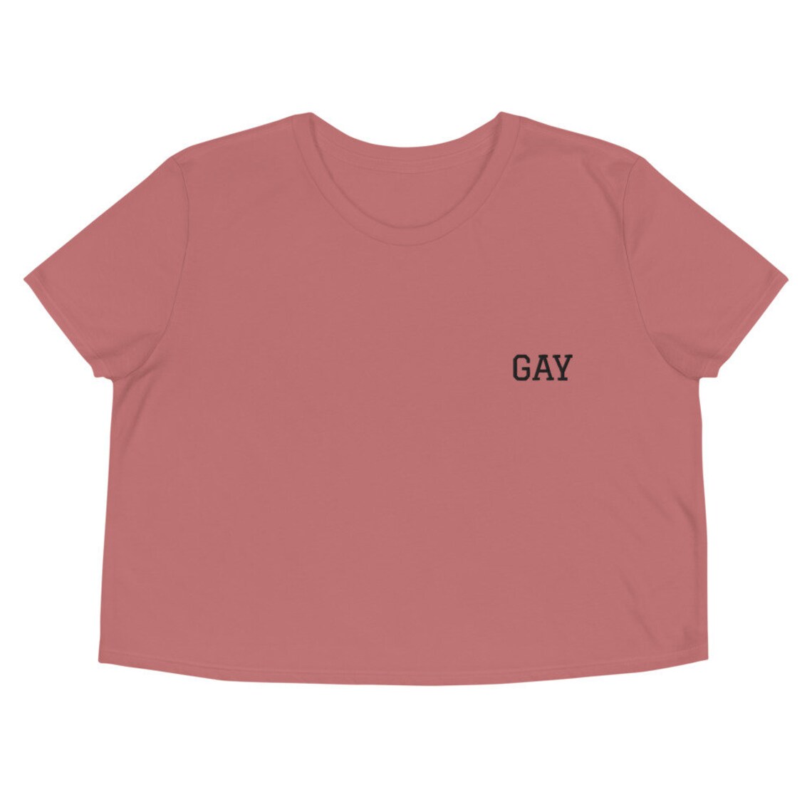 aztec pride shirt